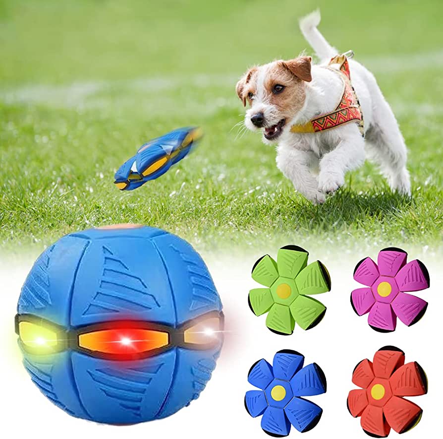 Pawrlo™ Dog Frisbee
