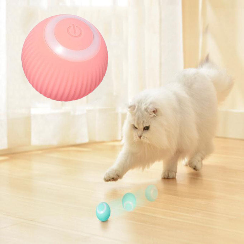 Pawrloβ’ Interactive Ball