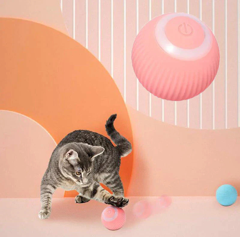 Pawrlo™  Interactive Ball