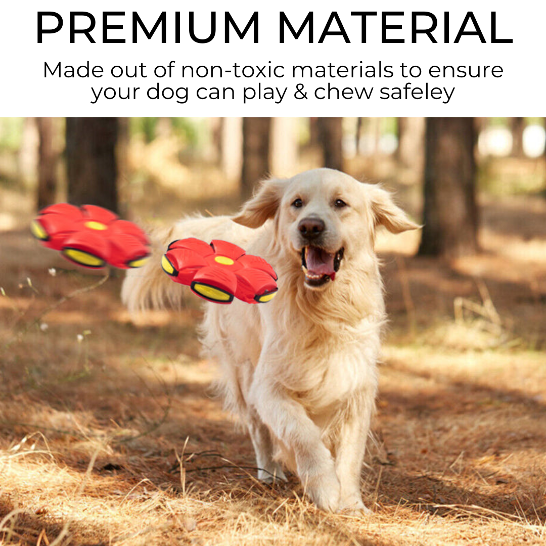 Pawrlo™ Dog Frisbee
