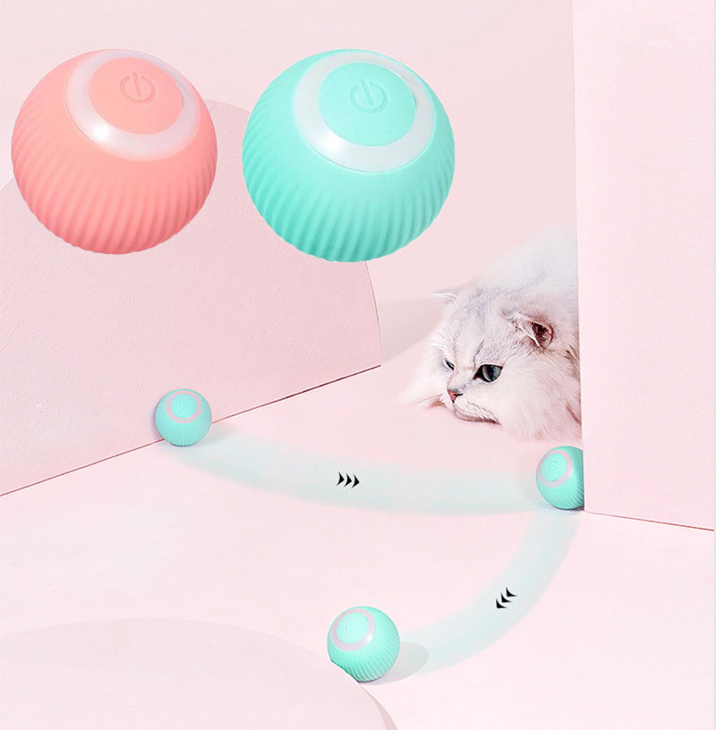 Pawrlo™  Interactive Ball
